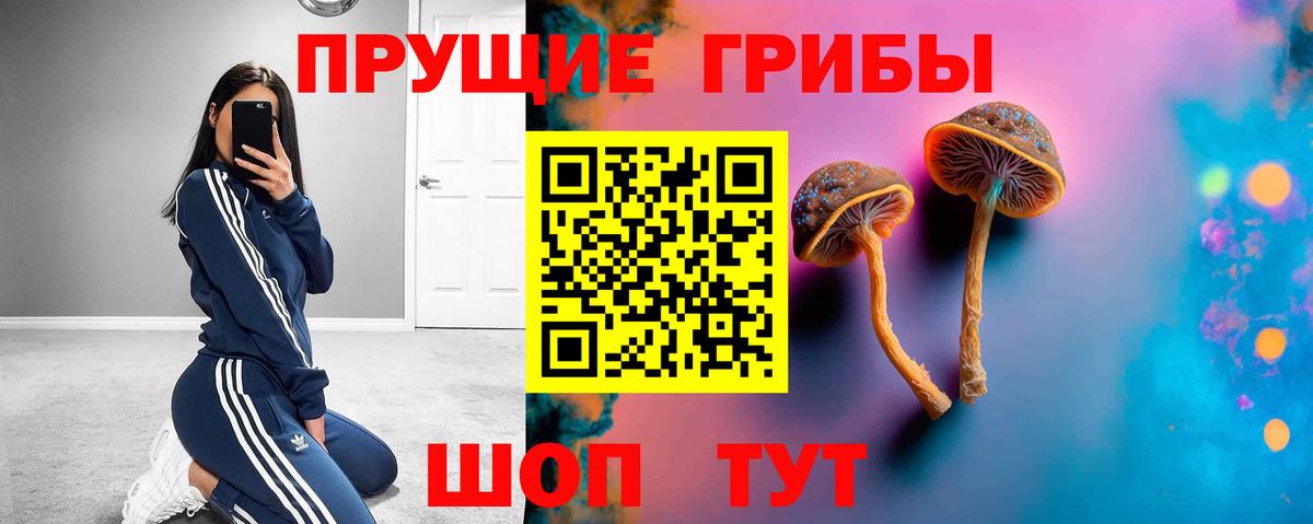наркота  Вход с VPN  Солнечногорск  Псилоцибиновые грибы Psilocybine cubensis 